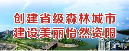 操逼视频嗯啊创建省级森林城市 建设美丽怡然资阳