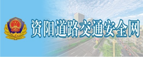 17草操资阳道路交通安全网